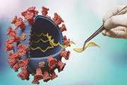 کارگاه آموزشی استخراج RNA وسنتز cDNA -  آبان ۱۴۰۱ 