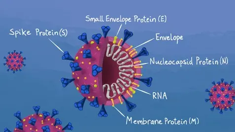 مجموعه نشست های پساکووید (رویداد سیزدهم)